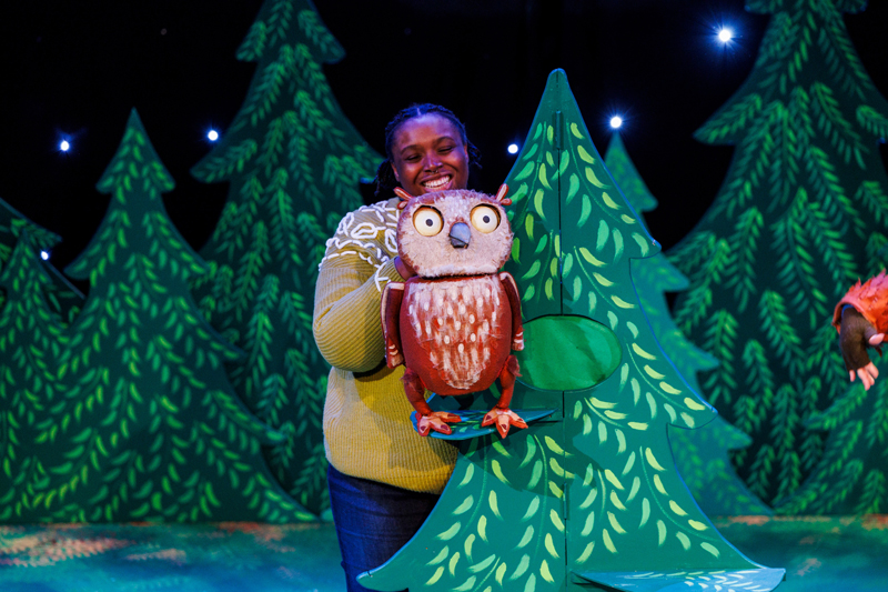 Nowell Lapley Productions, The Owl who came for Christmas. NLP