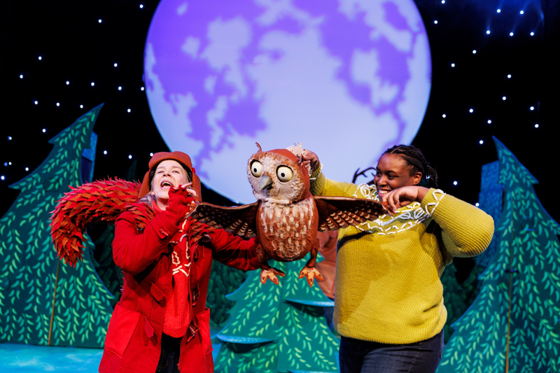 Nowell Lapley Productions, The Owl who came for Christmas. NLP
