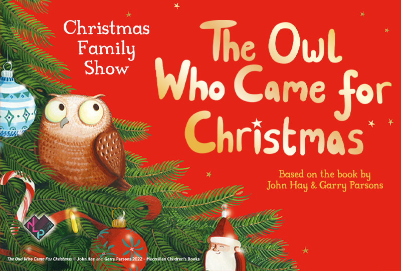 THE OWL WHO CAME FOR CHRISTMAS THE CURVE